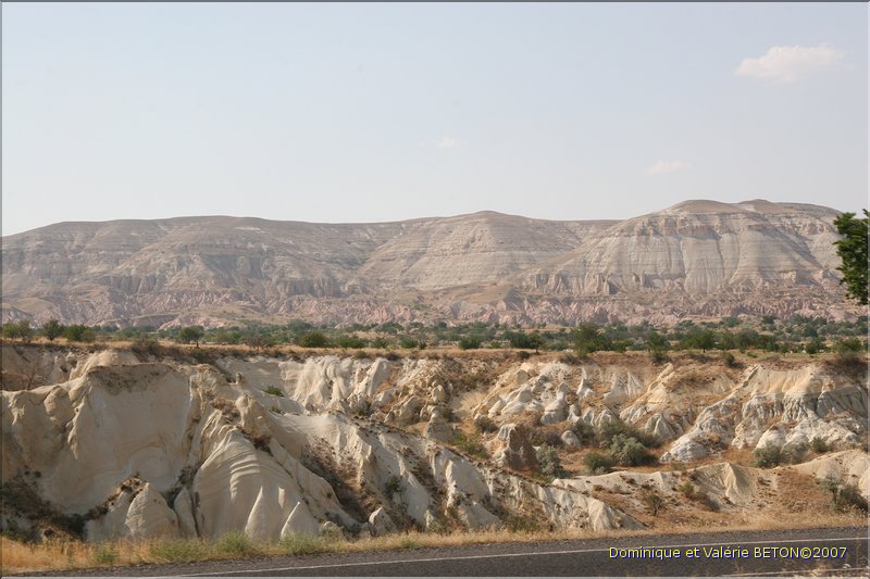 TR2007_0782