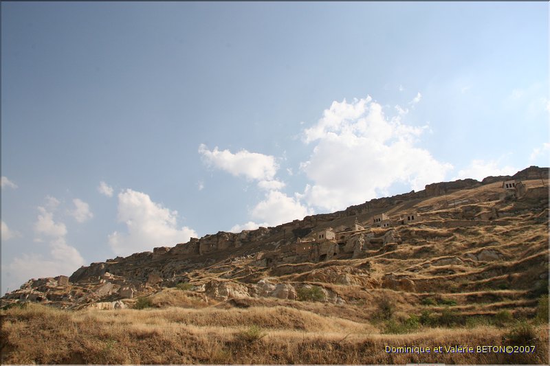 TR2007_0791