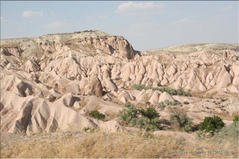 TR2007_0803