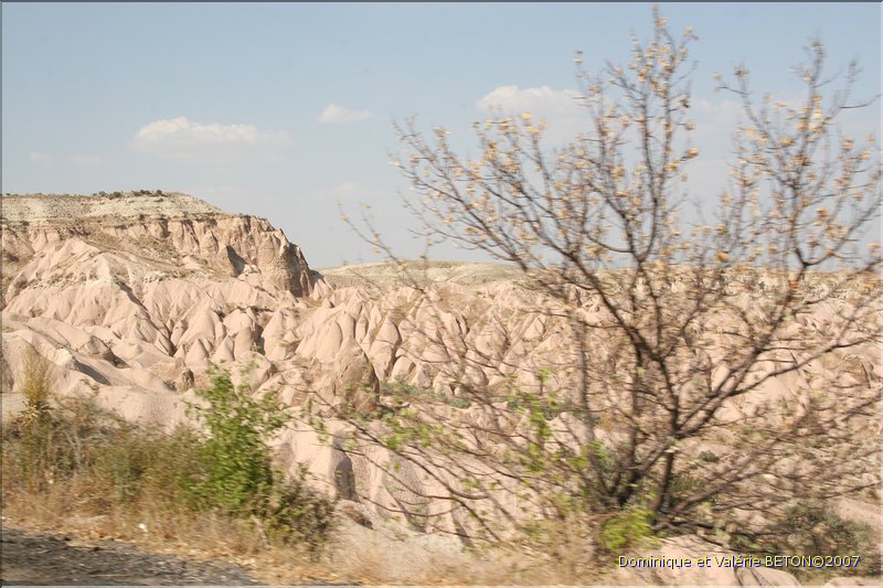 TR2007_0804