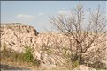 TR2007_0804