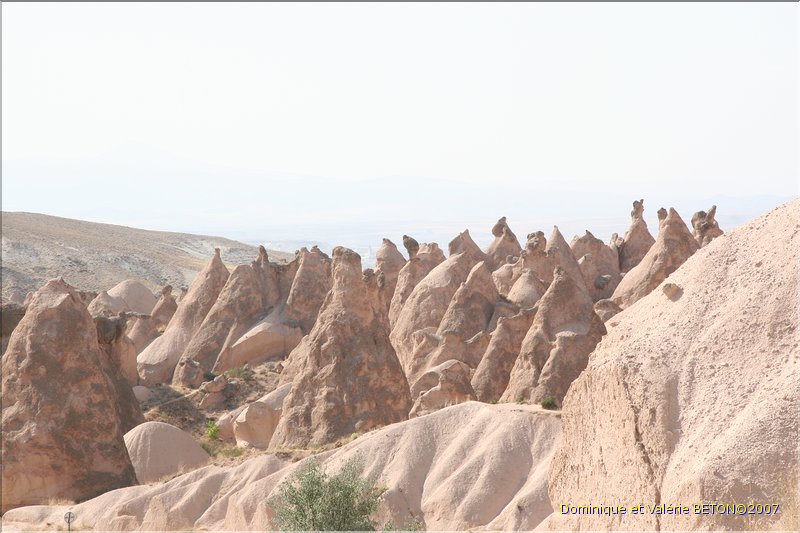 TR2007_0806