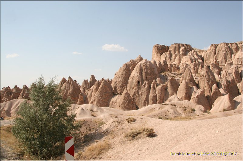 TR2007_0808