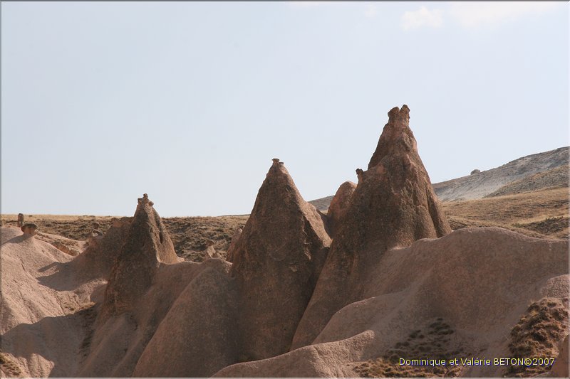 TR2007_0811