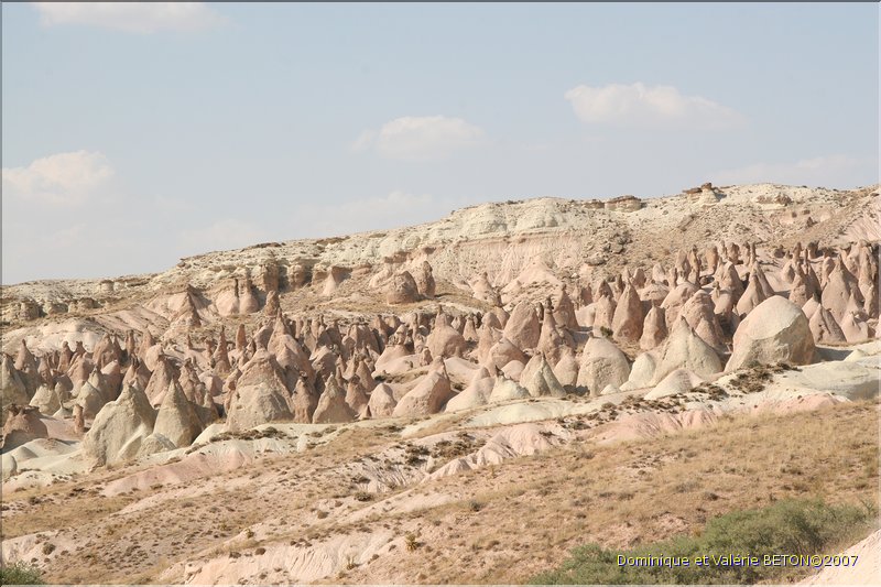 TR2007_0819