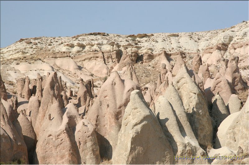 TR2007_0824