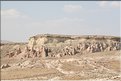 TR2007_0829