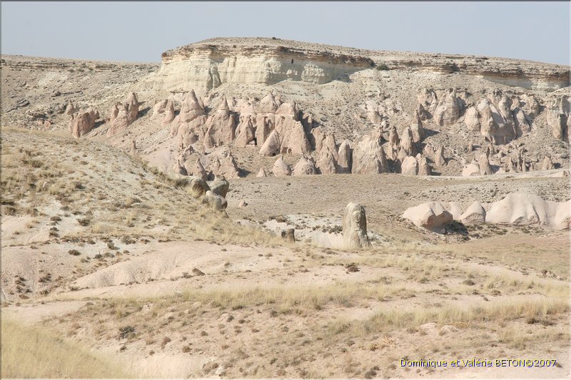 TR2007_0830