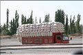 TR2007_0835
