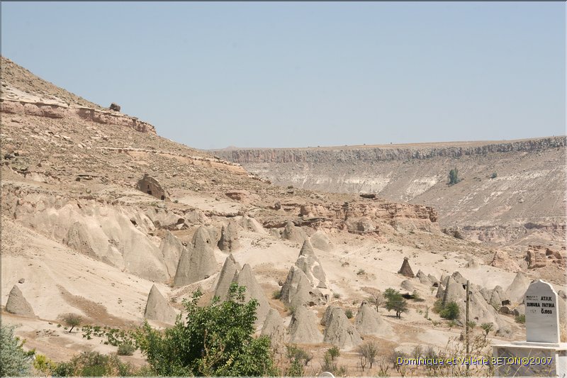 TR2007_0892