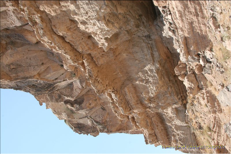 TR2007_0894