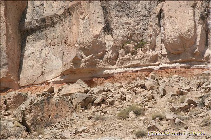 TR2007_0897