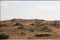 TR2007_0935