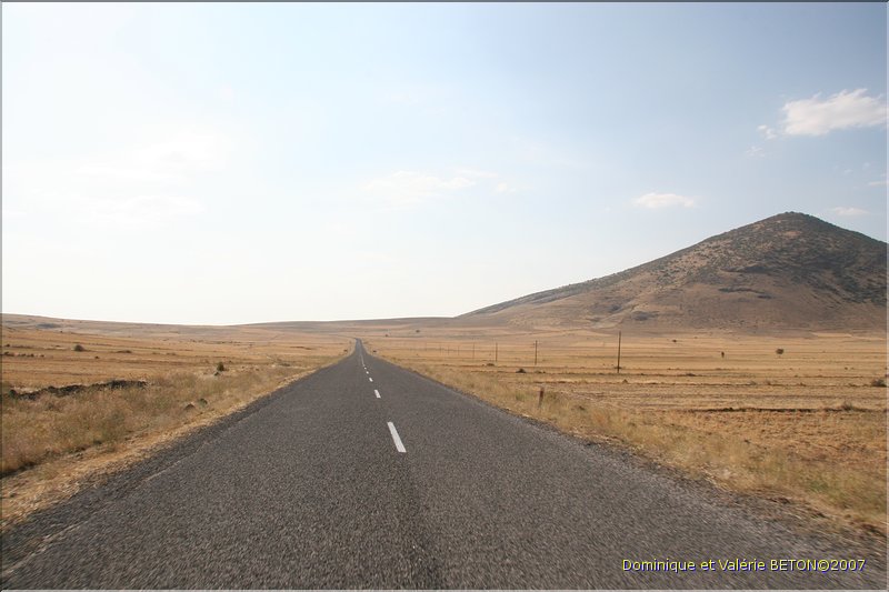 TR2007_0937