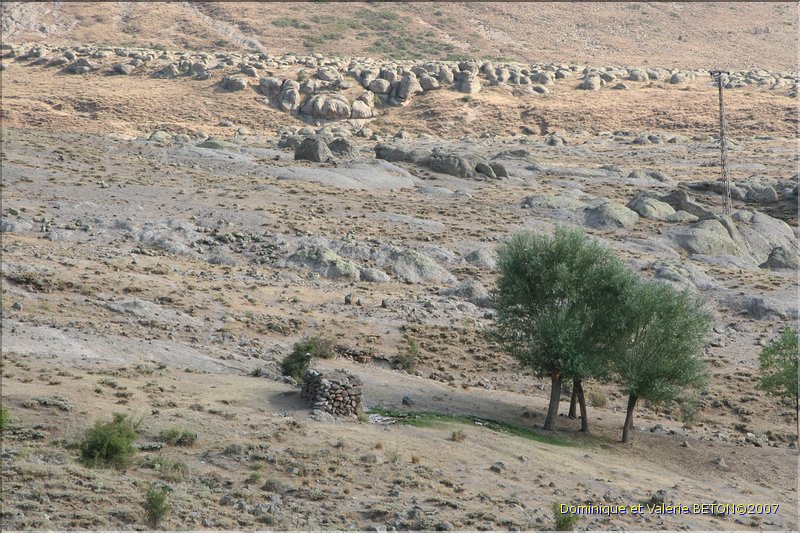 TR2007_0941