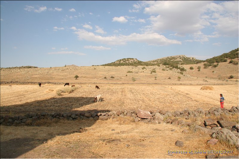 TR2007_0954