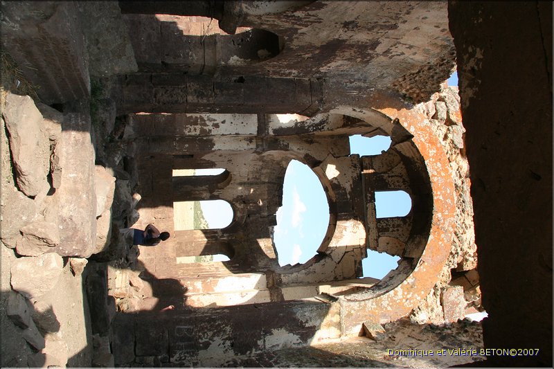 TR2007_0956