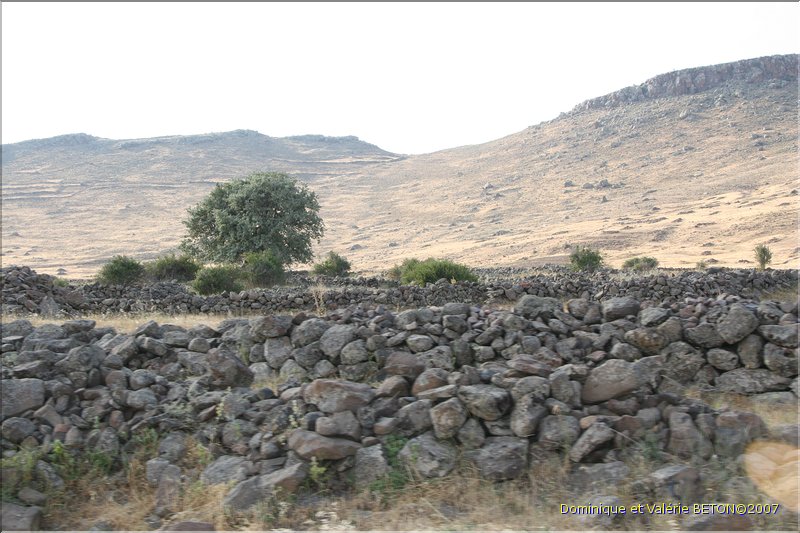 TR2007_0960