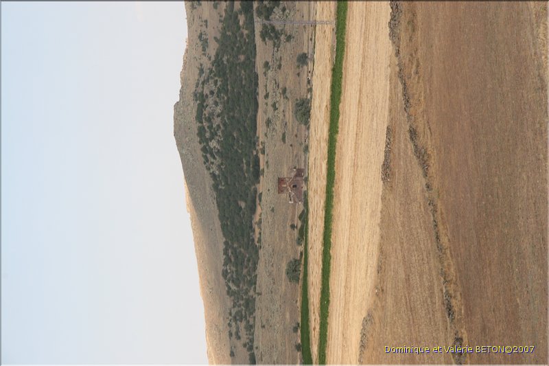 TR2007_0961