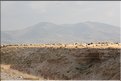TR2007_0972