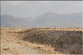TR2007_0973