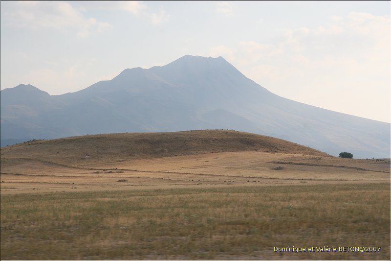 TR2007_0982