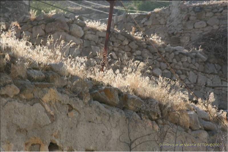 TR2007_1009