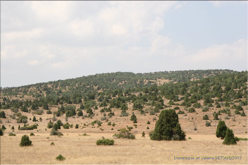 TR2007_1090