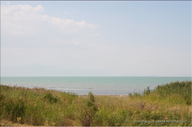 TR2007_1092