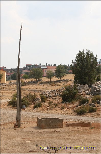 TR2007_1100b