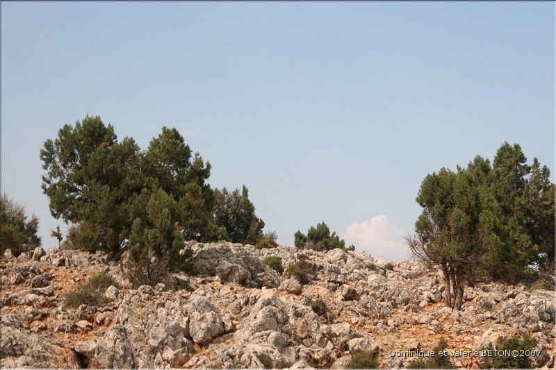 TR2007_1101