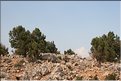 TR2007_1101
