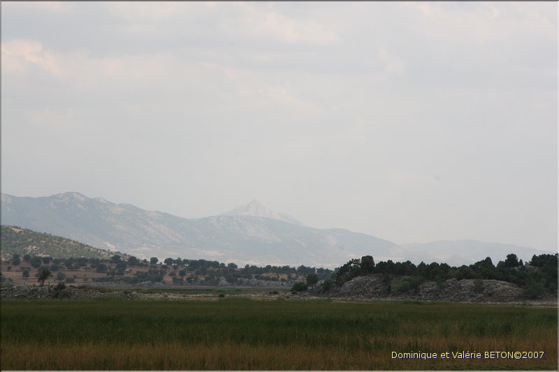 TR2007_1103