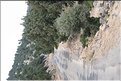 TR2007_1107
