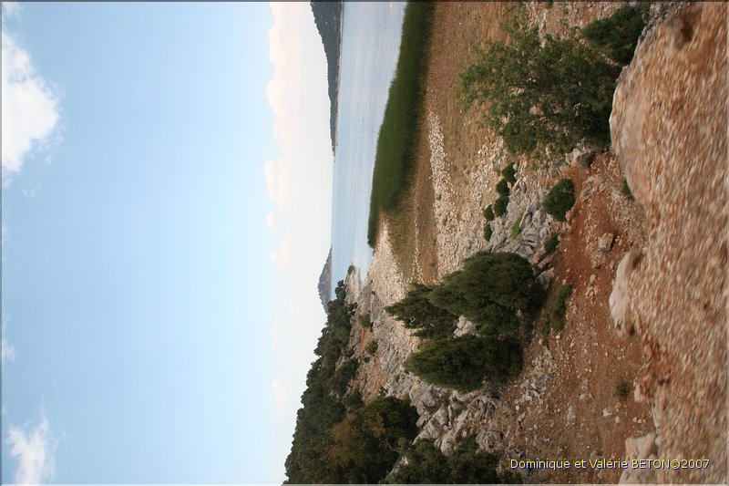 TR2007_1108