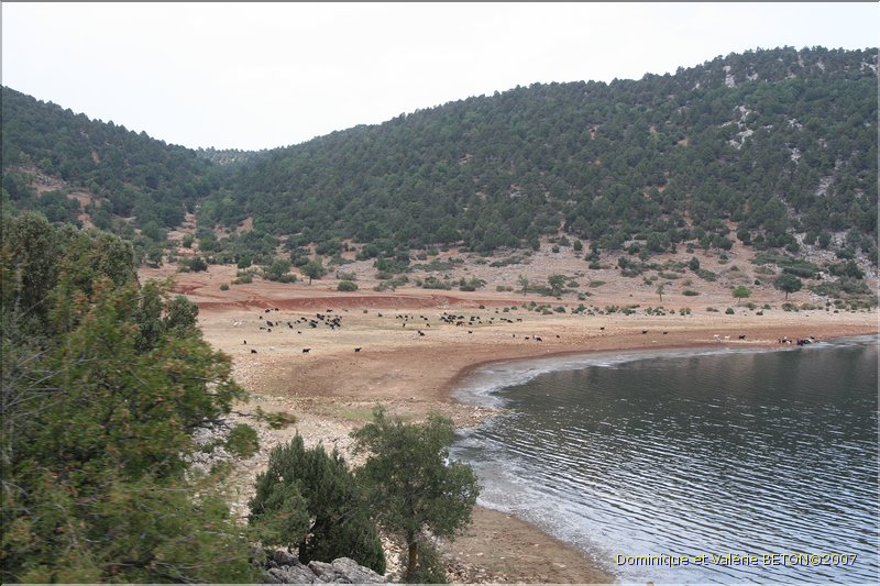 TR2007_1109
