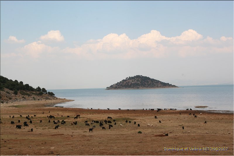 TR2007_1110