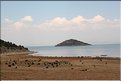 TR2007_1110