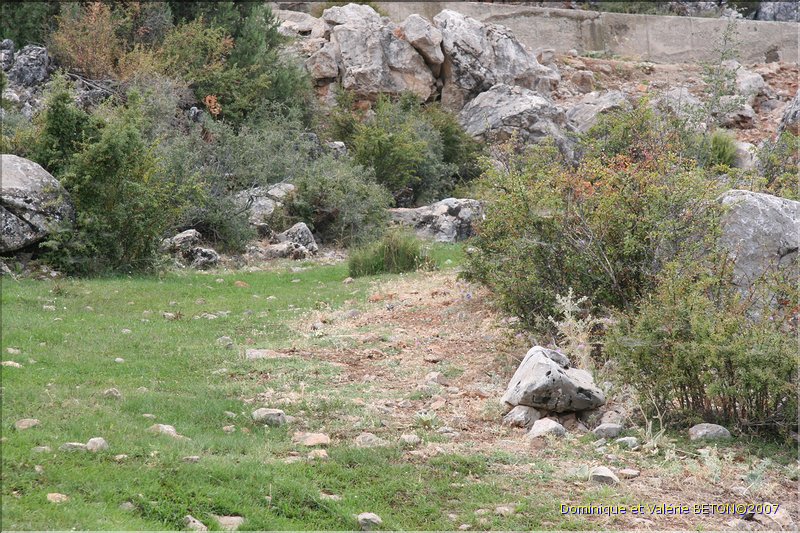TR2007_1115