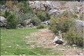TR2007_1115