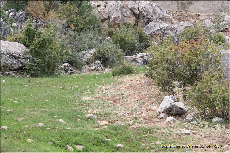TR2007_1116