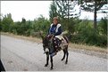 TR2007_1123