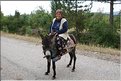 TR2007_1123b