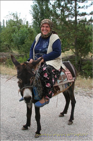 TR2007_1123c