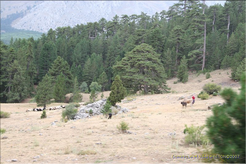 TR2007_1127
