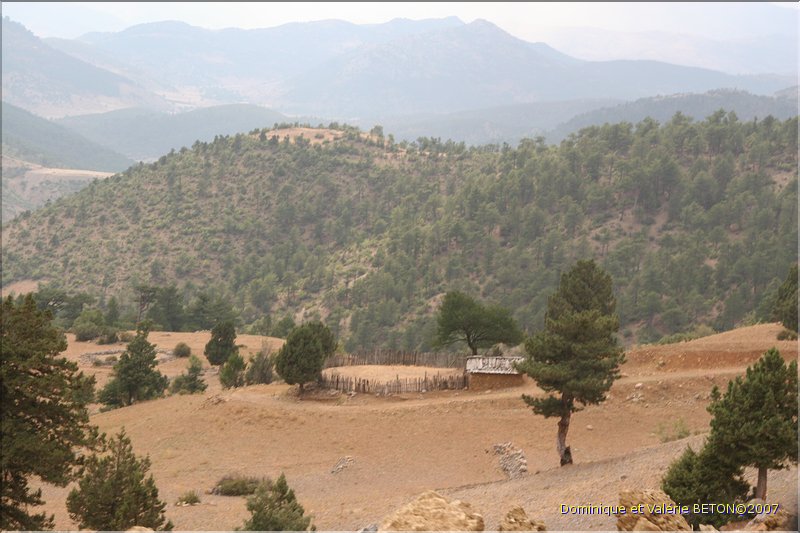 TR2007_1130