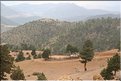TR2007_1130