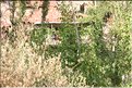 TR2007_1132