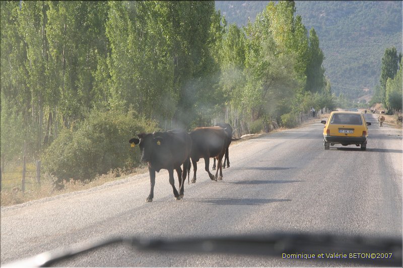 TR2007_1134