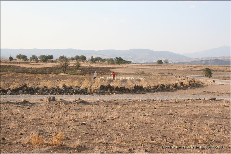 TR2007_1168